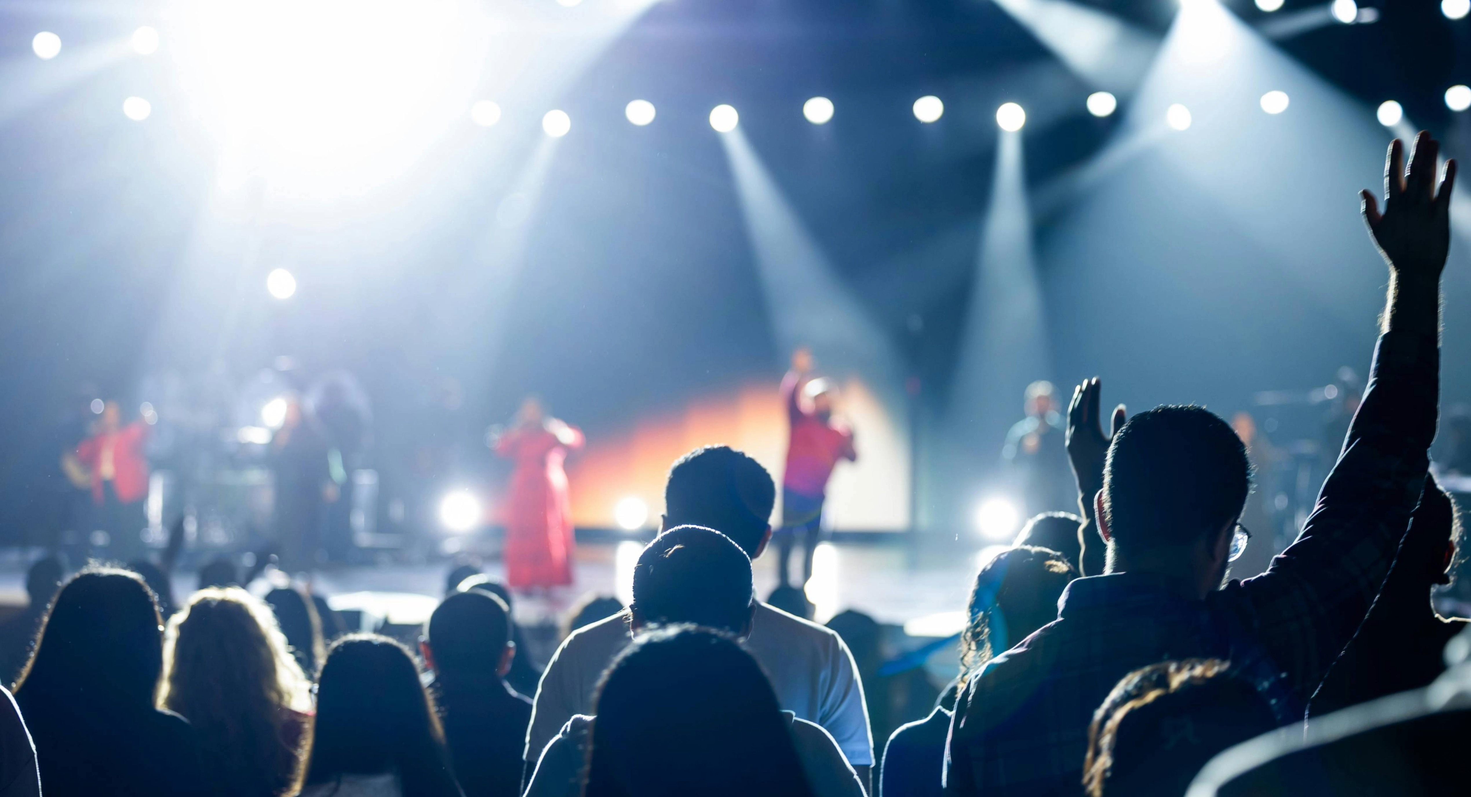 VIP Concert Experience — International Artist