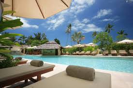 Malindi Dolphin Watching & Boat Cruise