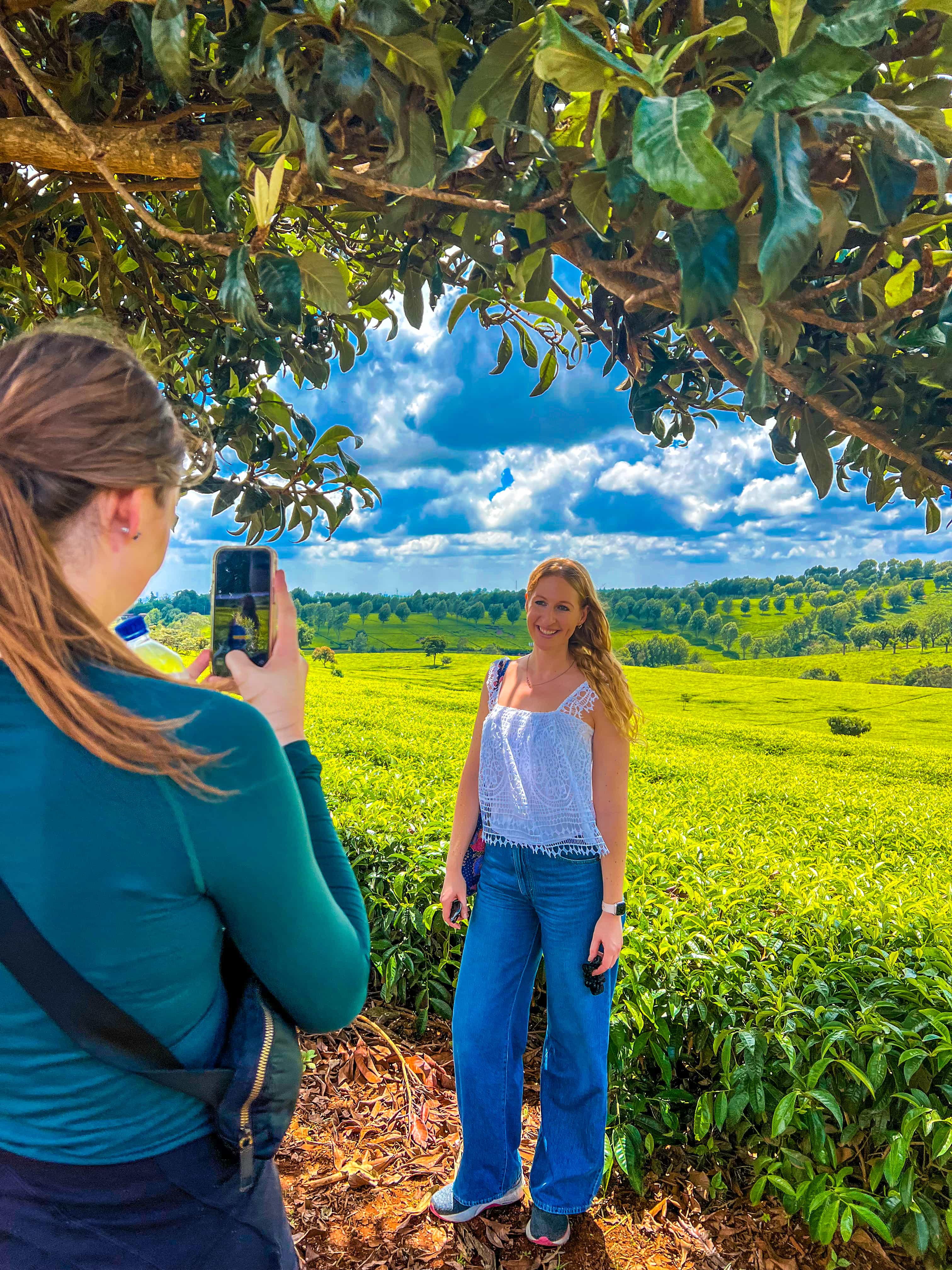 Tigoni Tea Estate Experience & Lunch