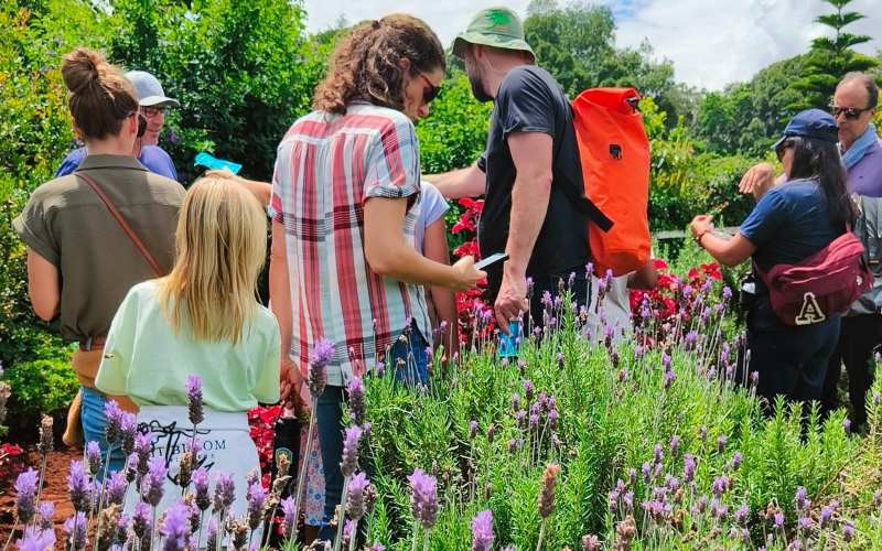 Tigoni Botanical Garden & Wellness Walk for creative-wellness Tigoni Botanical Gardens — event booking Kenya